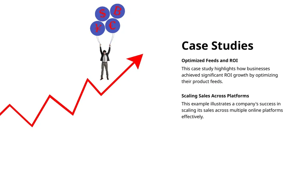Boost Sales with Shopping Feed Management - slide 9 of 11