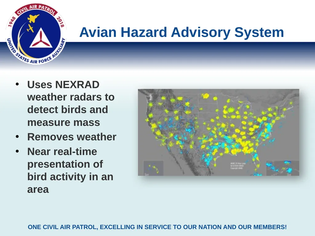 Bird Strike Risk Assessment Methods & Tools Civil - slide 4 of 8