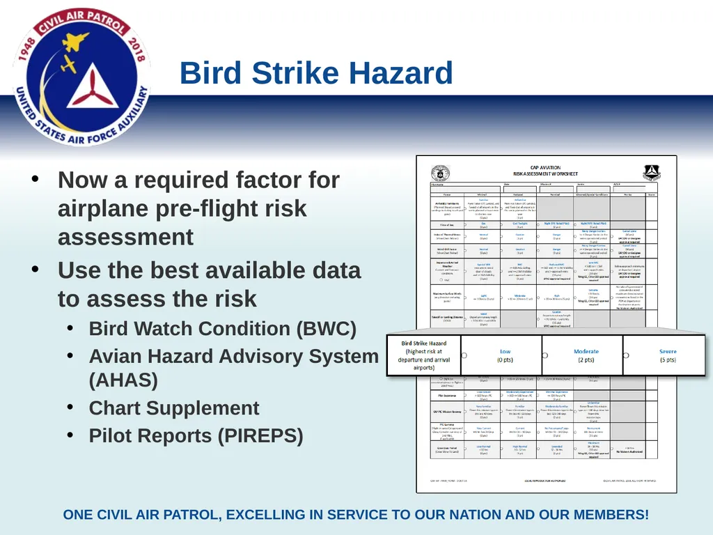 Bird Strike Risk Assessment Methods & Tools Civil - slide 2 of 8