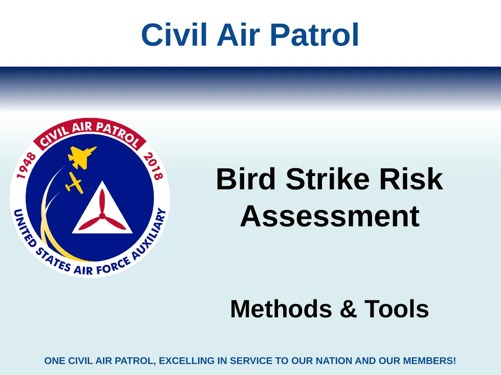 Bird Strike Risk Assessment Methods & Tools Civil - slide 1 of 8