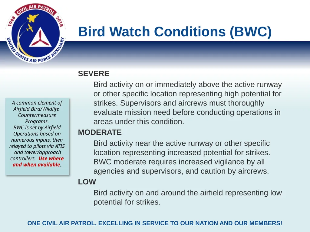 Bird Strike Risk Assessment Methods & Tools Civil - slide 3 of 8