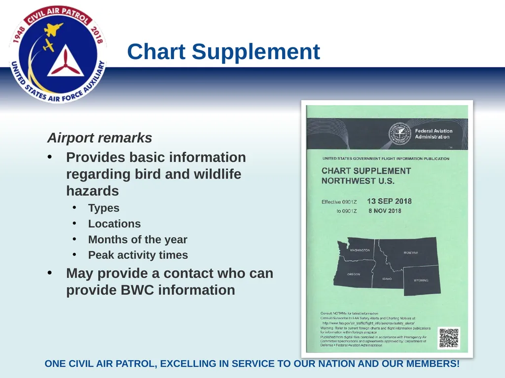 Bird Strike Risk Assessment Methods & Tools Civil - slide 6 of 8