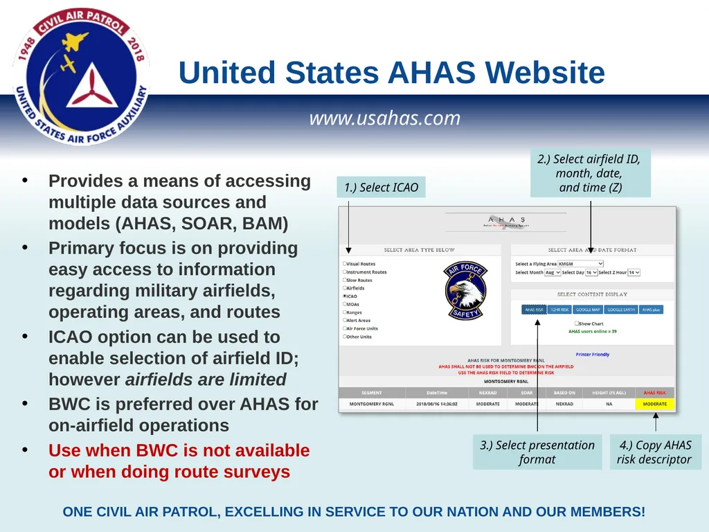 Bird Strike Risk Assessment Methods & Tools Civil - slide 5 of 8
