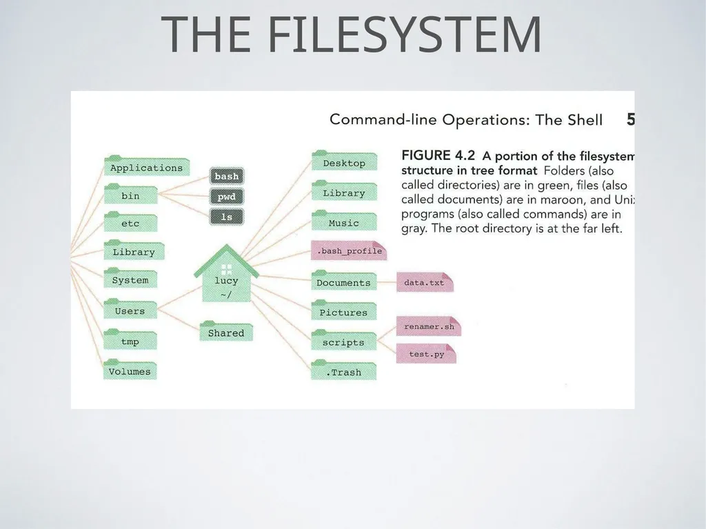 Command line Shells Georges Khazen Command line: - slide 17 of 29