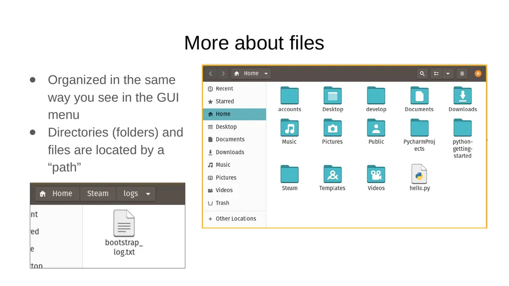 Introduction to the Command Line Talking Directly - slide 13 of 20