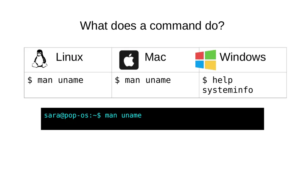 Introduction to the Command Line Talking Directly - slide 10 of 20