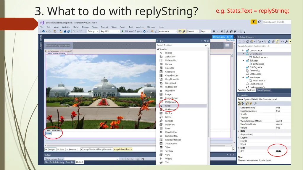 SQL commands from C# and ASP.net SQL commands - slide 6 of 8