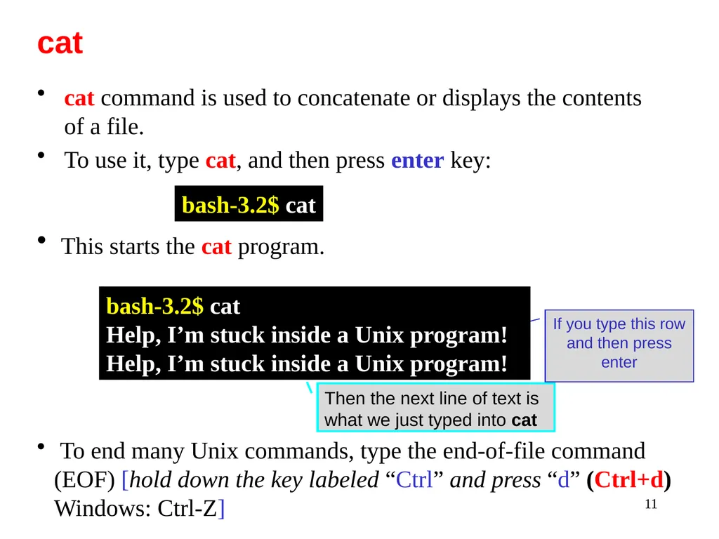 Introduction to Unix: Basic Command Line Commands - slide 11 of 48