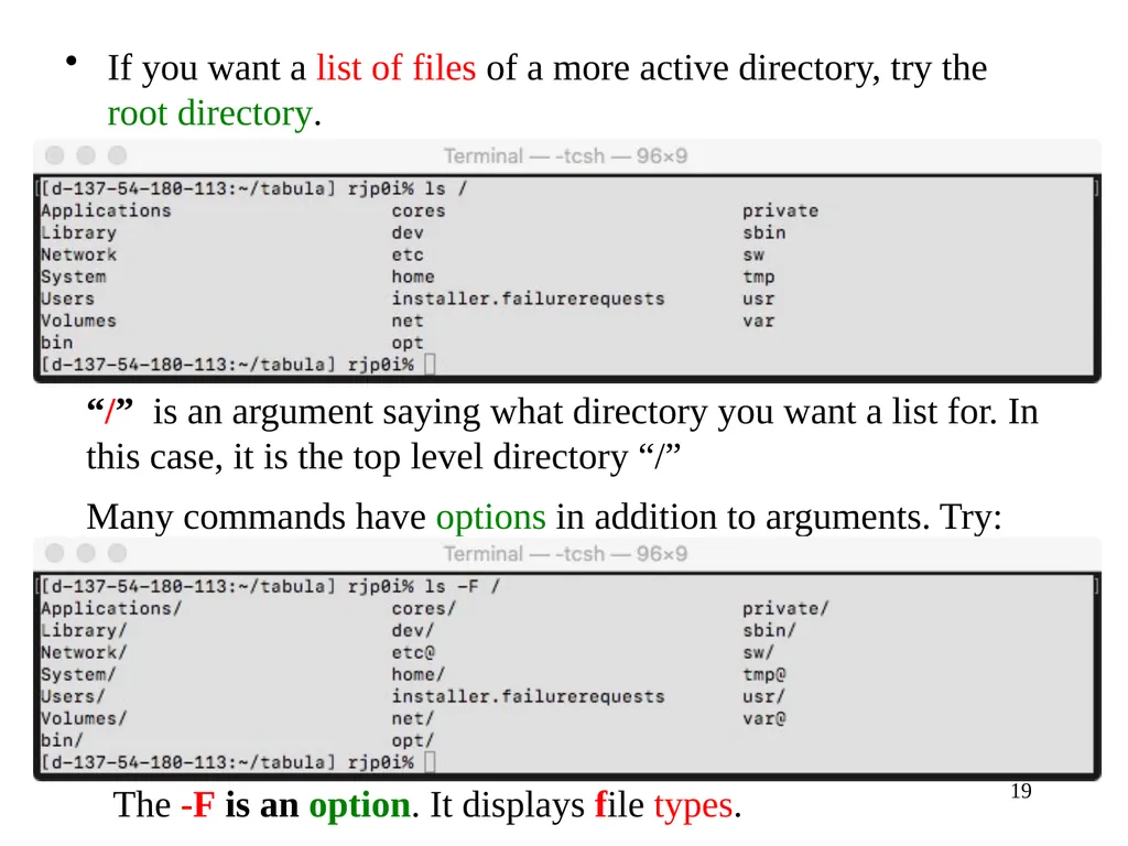 Introduction to Unix: Basic Command Line Commands - slide 19 of 48