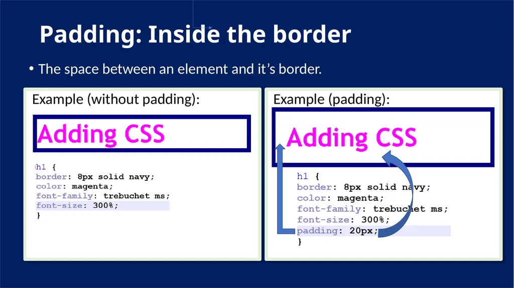 Padding and Margins With CSS padding margin - slide 2 of 7