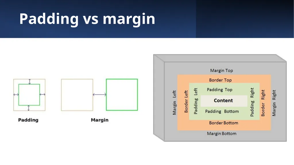 Padding and Margins With CSS padding margin - slide 5 of 7