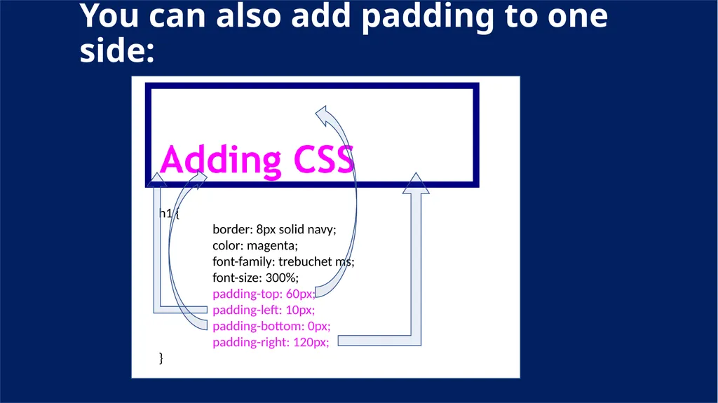 Padding and Margins With CSS padding margin - slide 3 of 7