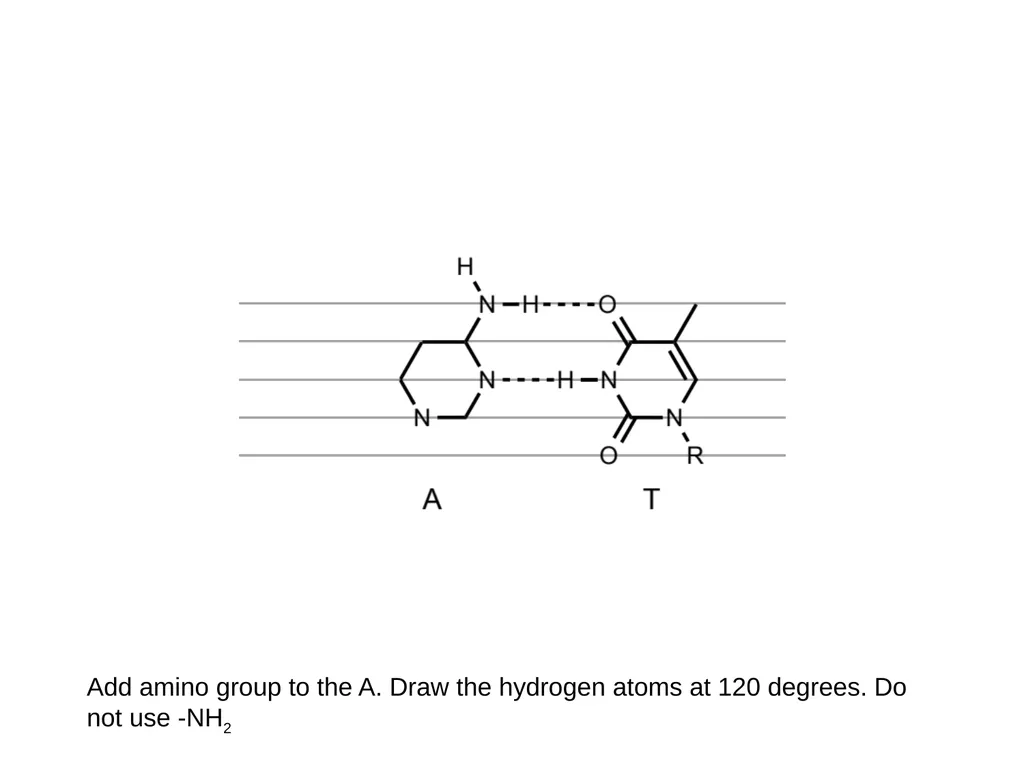 How to draw a base pair (with ChemDraw) - slide 21 of 44