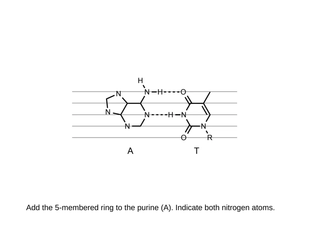 How to draw a base pair (with ChemDraw) - slide 22 of 44