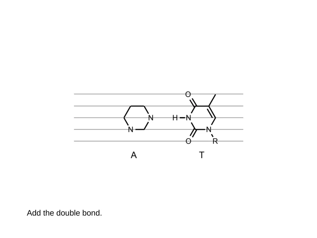 How to draw a base pair (with ChemDraw) - slide 19 of 44