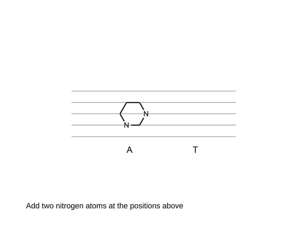 How to draw a base pair (with ChemDraw) - slide 9 of 44