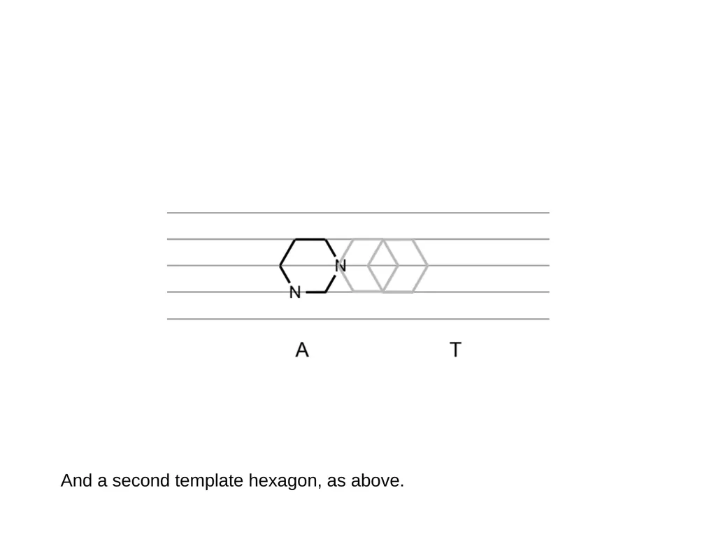 How to draw a base pair (with ChemDraw) - slide 11 of 44