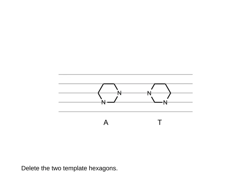 How to draw a base pair (with ChemDraw) - slide 13 of 44