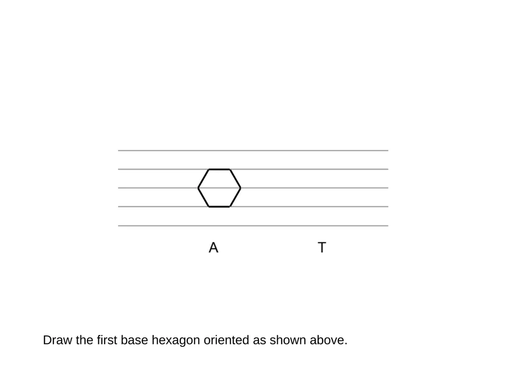 How to draw a base pair (with ChemDraw) - slide 8 of 44