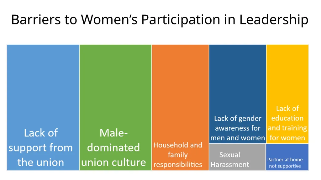COSATU 35 year Gender Review PRESENTATION FOR - slide 42 of 47
