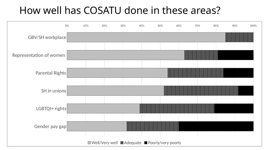 COSATU 35 year Gender Review PRESENTATION FOR - slide 38 of 47