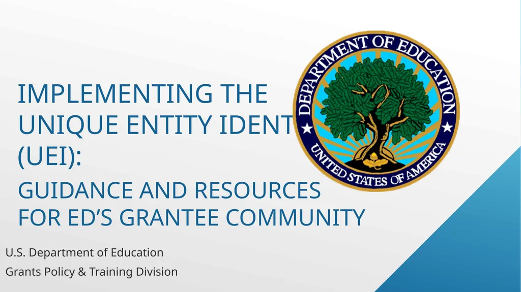 Implementing the Unique Entity Identifier (UEI):