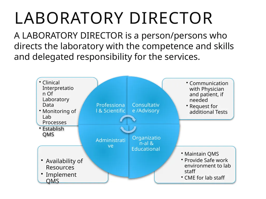 General Elements for Establishment of QMS ISO - slide 8 of 16
