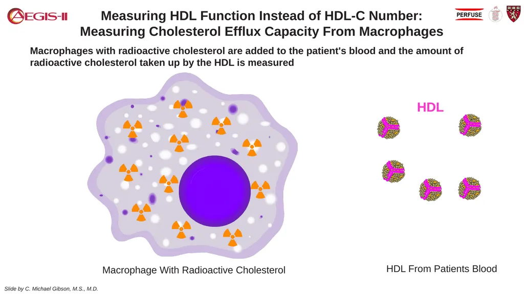 CSL 112 (Apolipoprotein A-I) Infusions and - slide 5 of 17