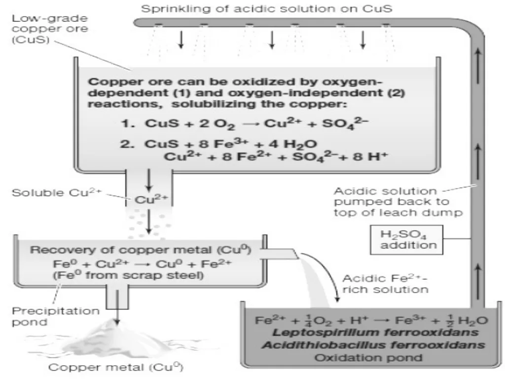 Microbial analysis of air There are two methods of - slide 16 of 19