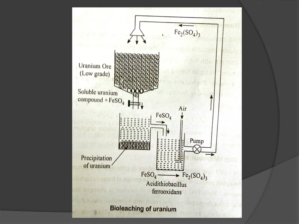 Microbial analysis of air There are two methods of - slide 18 of 19