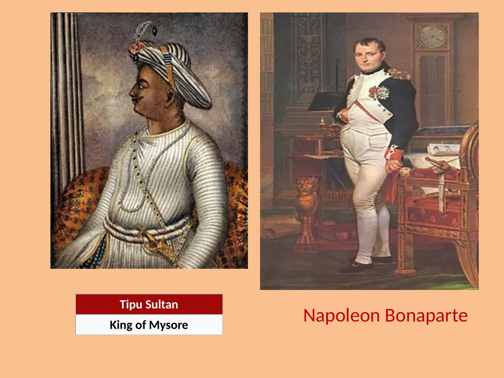 NEPOLEON BONAPARTE SEM –V CC- XI MOUSUMI - slide 7 of 18
