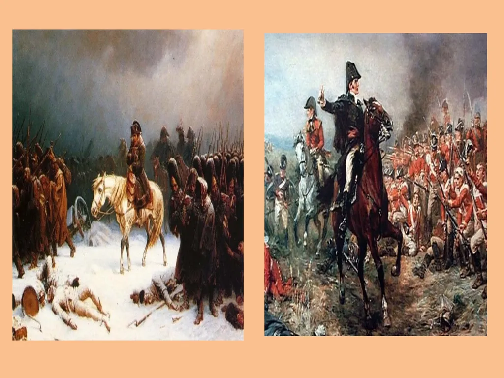 NEPOLEON BONAPARTE SEM –V CC- XI MOUSUMI - slide 13 of 18