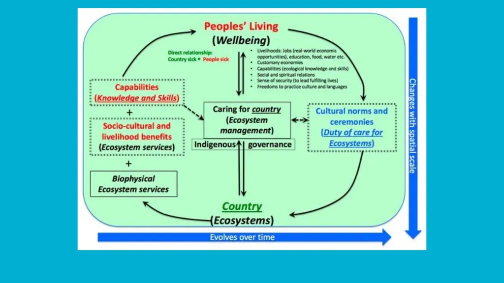 Native Land Stewardship: Journey to Climate Equity - slide 11 of 13