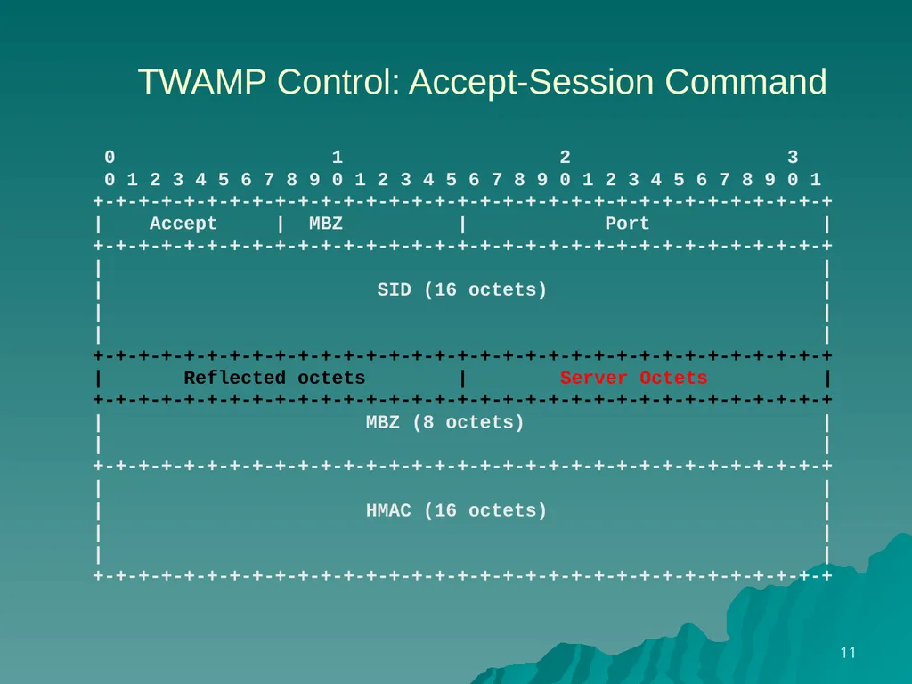 TWAMP Features – Reflect OCTETS draft - slide 11 of 13