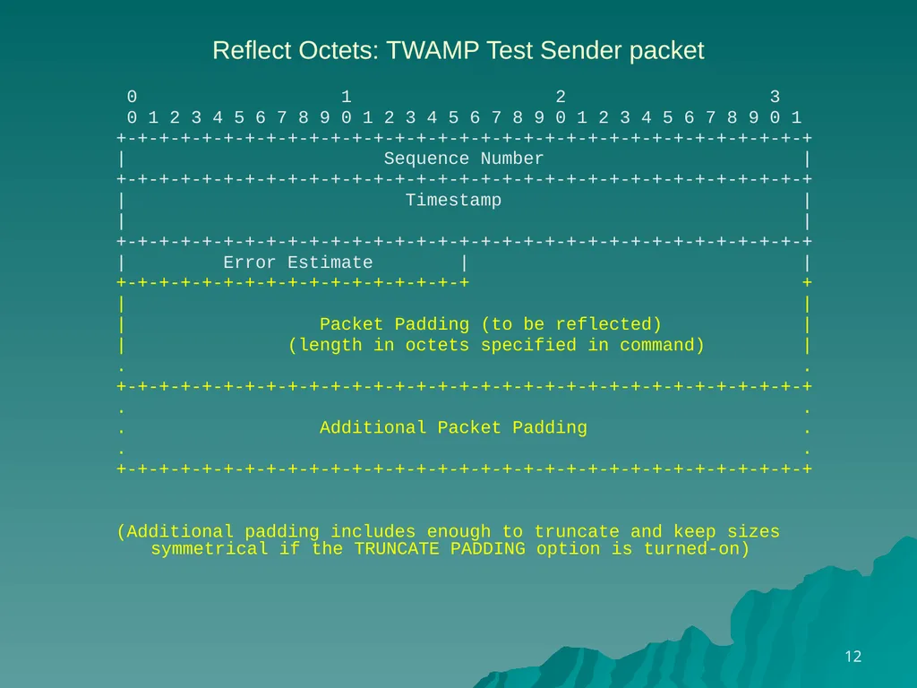 TWAMP Features – Reflect OCTETS draft - slide 12 of 13