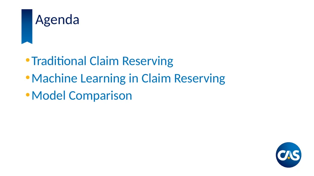 Estimation of Individual Claim Liabilities A - slide 3 of 28