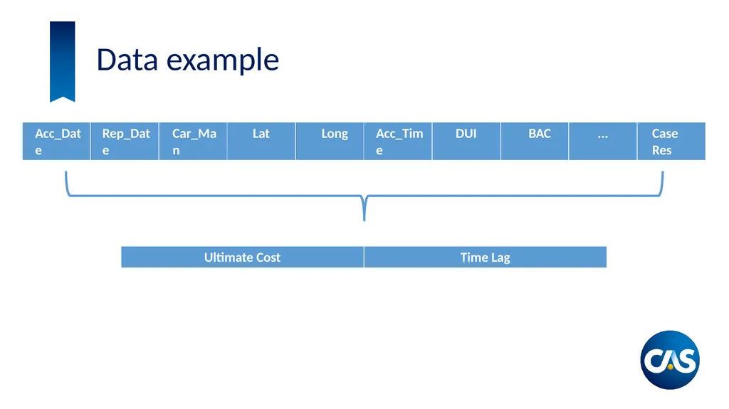 Estimation of Individual Claim Liabilities A - slide 13 of 28