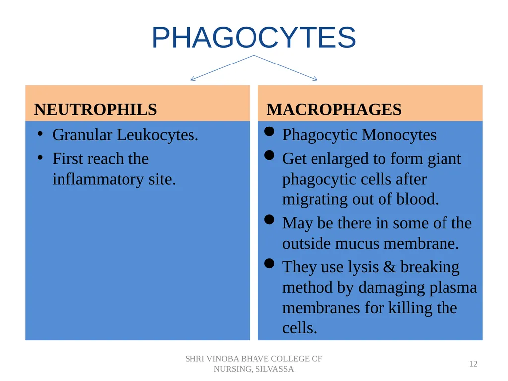 BODY DEFENSES Introduction: Every human being has - slide 12 of 27