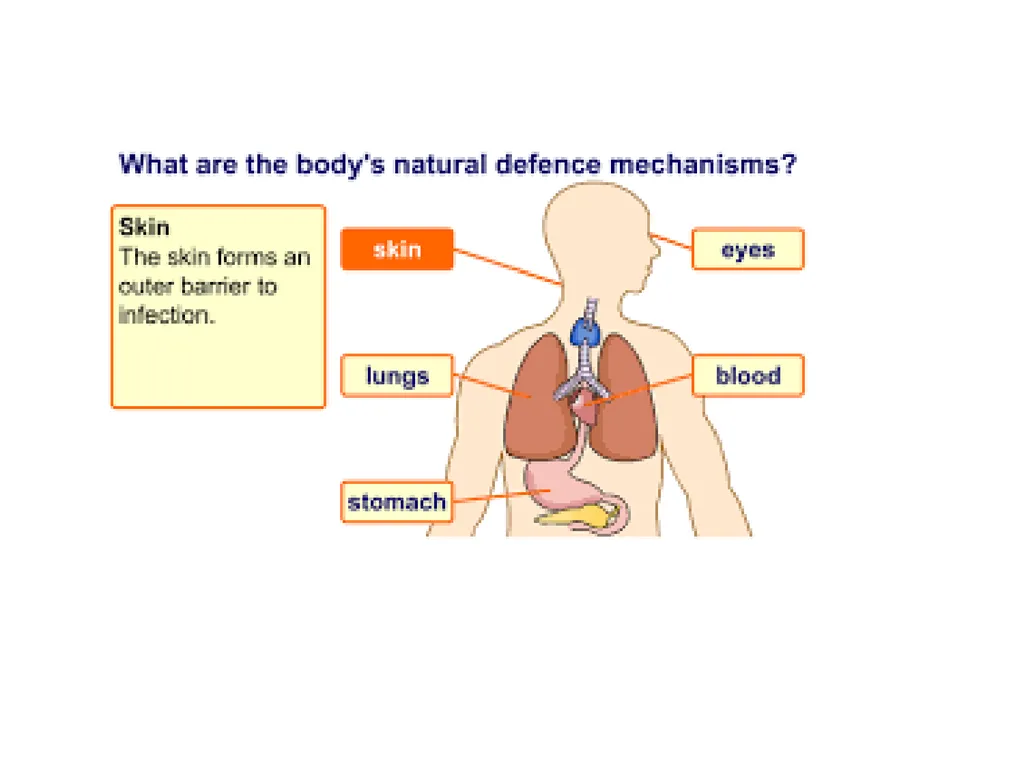 BODY DEFENSES Introduction: Every human being has - slide 4 of 27