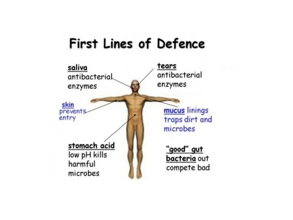 BODY DEFENSES Introduction: Every human being has - slide 8 of 27