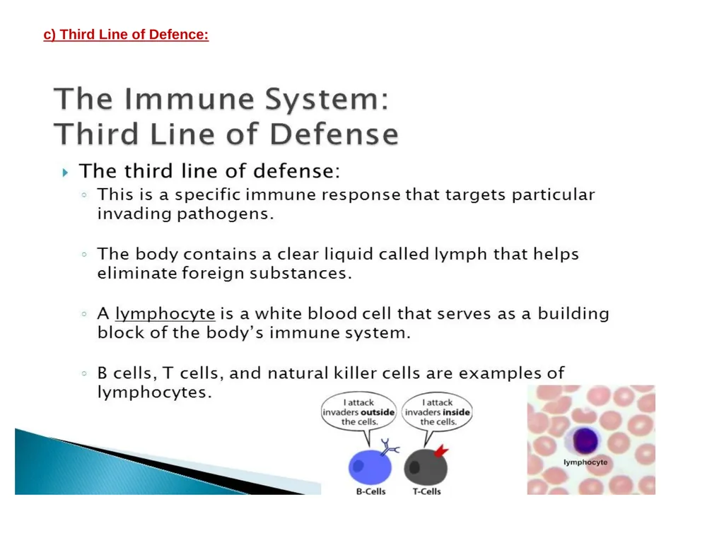 BODY DEFENSES Introduction: Every human being has - slide 14 of 27