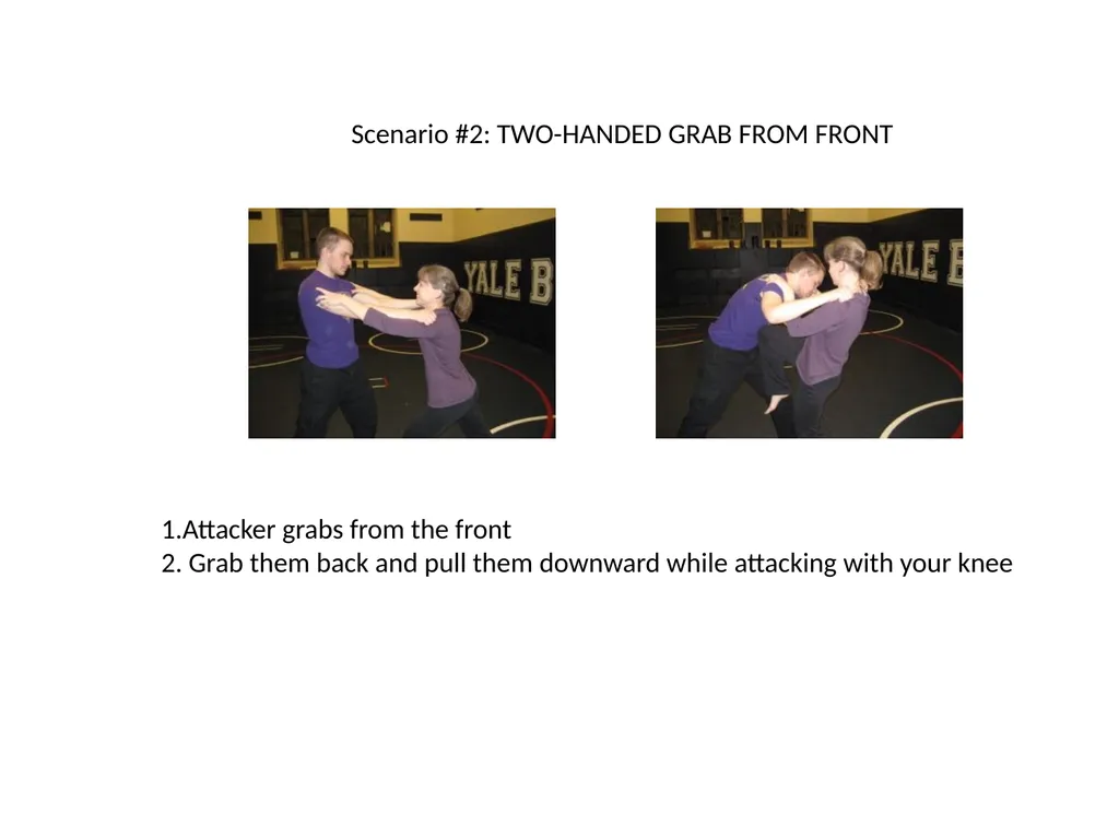 SELF DEFENSE 1 TECHNIQUES (short program) - slide 4 of 5