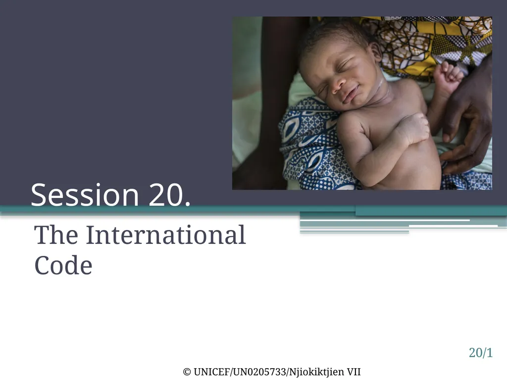 Session 20. The International Code 20/1 ©