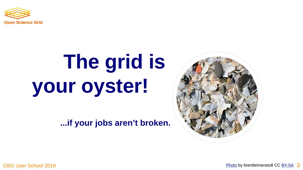 Troubleshooting Your Jobs Brian Lin OSG Software - slide 3 of 31
