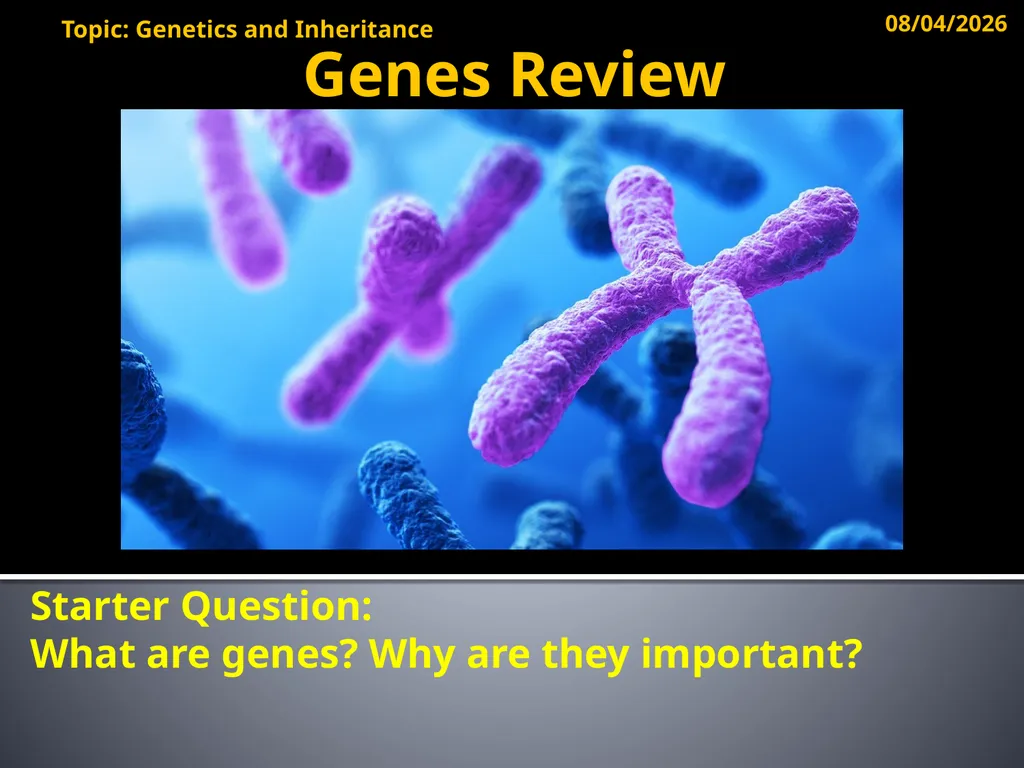 Starter Question: What are genes? Why are they - slide 1 of 9
