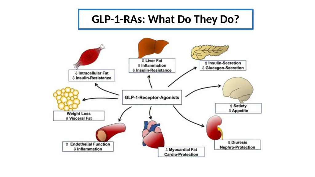 Analyzing GLP-1 RA Usage and Demographics of - slide 3 of 24