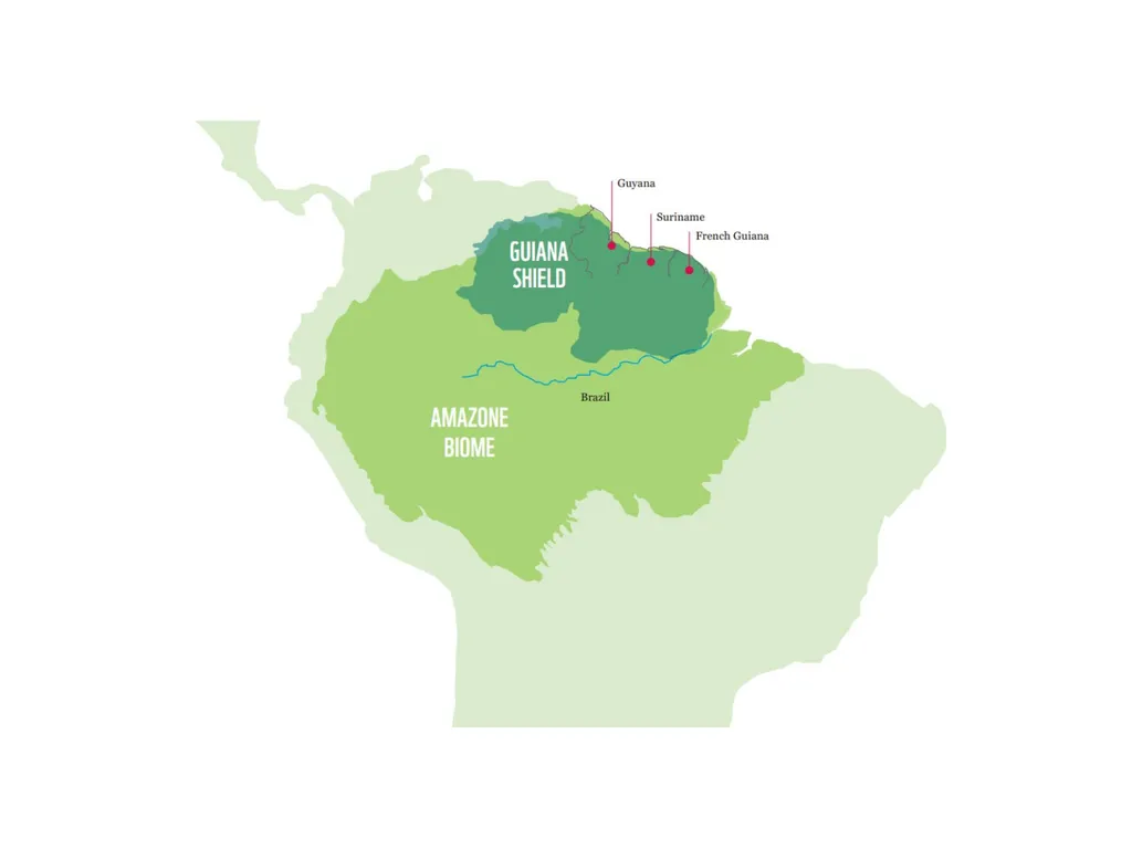 Plants and trees in the Guiana Shield Setting the - slide 4 of 17