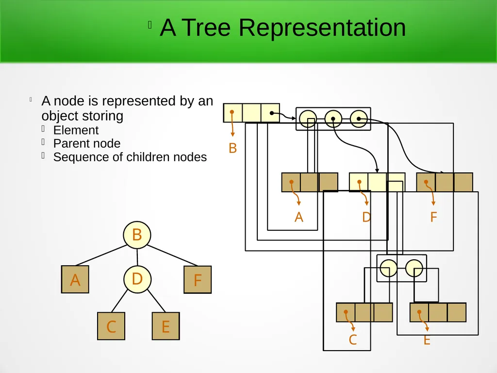 Trees and Binary Trees Become Rich Force Others to - slide 10 of 35