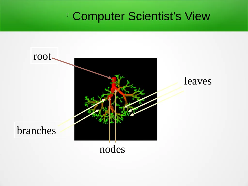 Trees and Binary Trees Become Rich Force Others to - slide 3 of 35