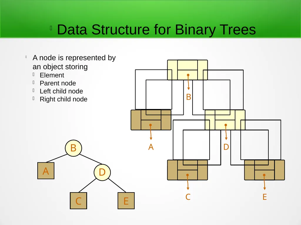 Trees and Binary Trees Become Rich Force Others to - slide 19 of 35